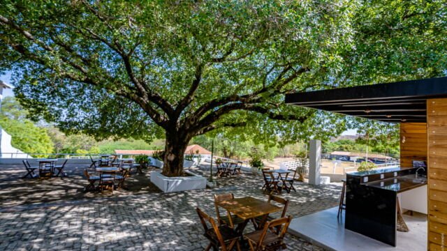 Estância Termal Brejo das Freiras - Foto: Marco Pimentel/Divulgação