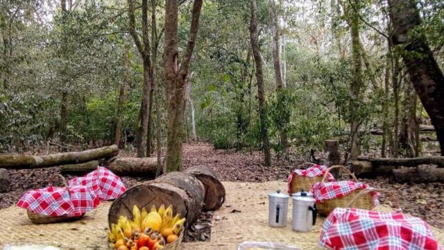 Piquenique na Mata do Pau Ferro, em Chã de Jardim, Areia (PB) - Foto: Divulgação